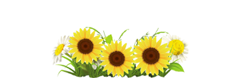 咨询指南