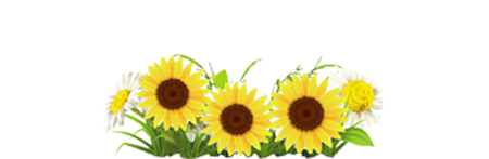 专家团队